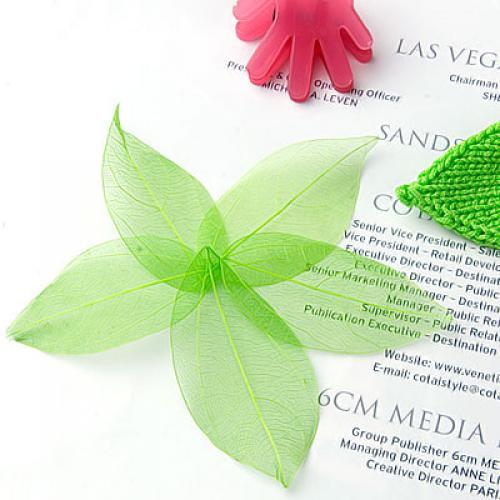 Embellish Craft - Natural Catbrier Skeleton Leaves Multi Purpose