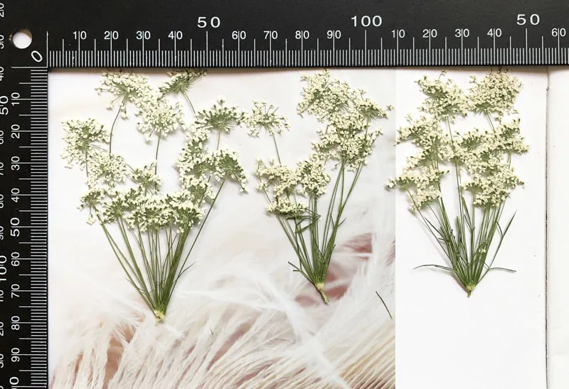 5-7cm/12pcs,Snow Tiny Flowers  - Craft Embellishment avaliação e preço